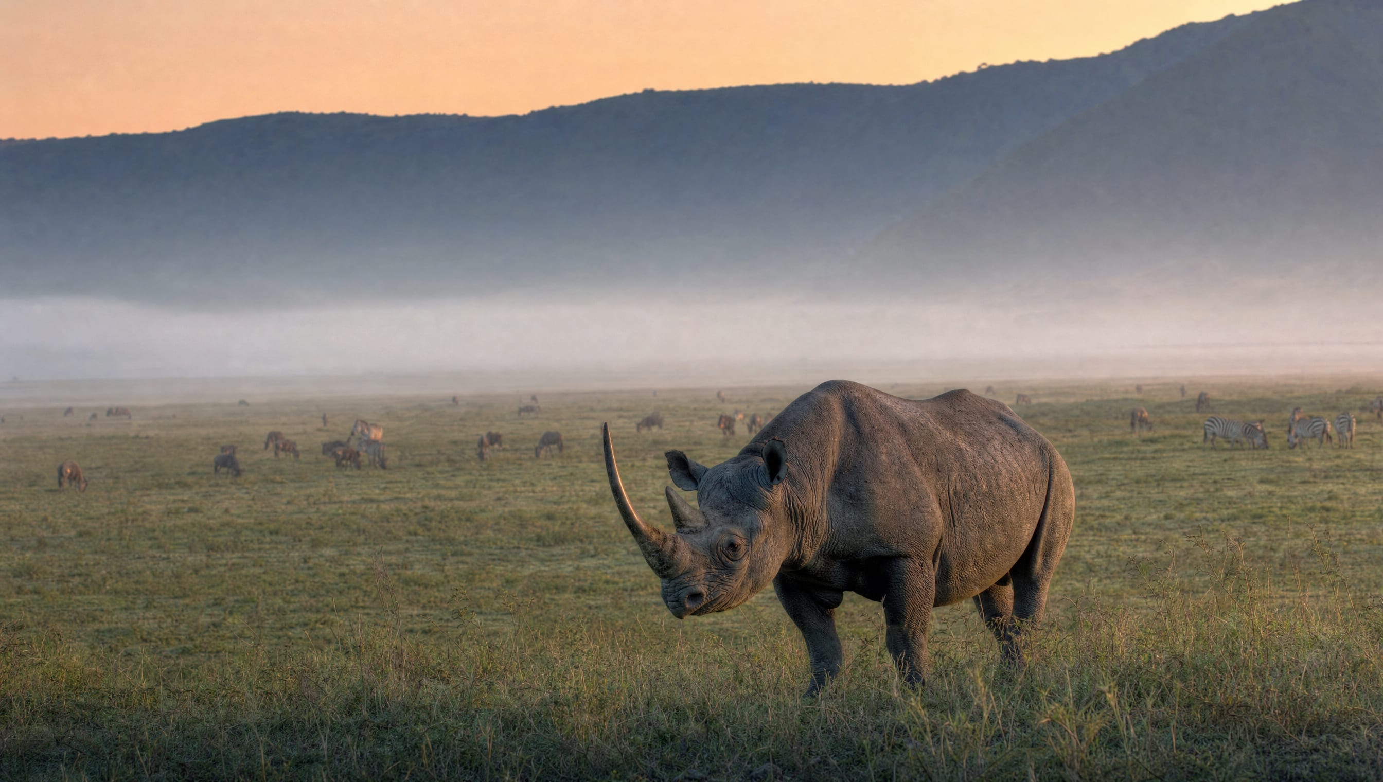 13 Days Safari & Zanzibar Holiday — 3