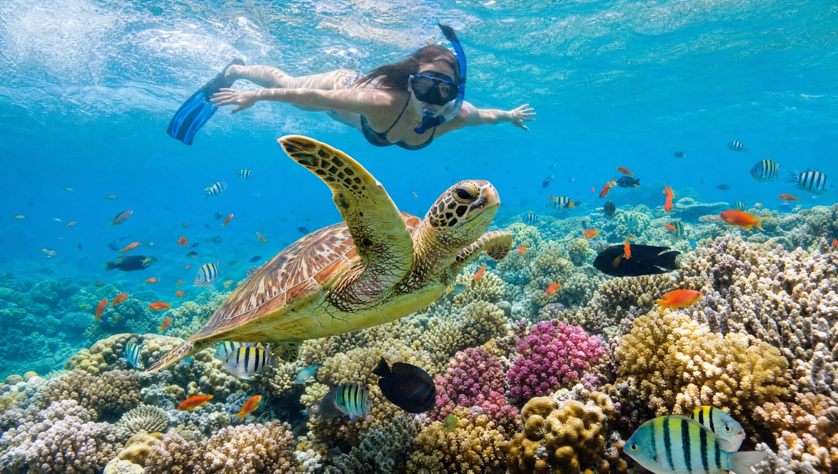 7 Days Zanzibar Paradise 3
