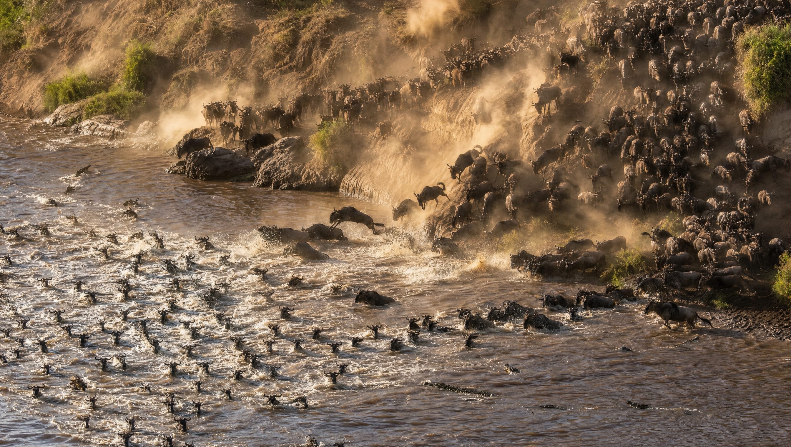 12 Days Migration Safari & Zanzibar